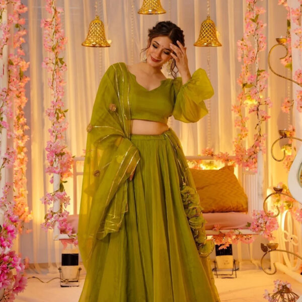 Green amethyst elegance lehenga set